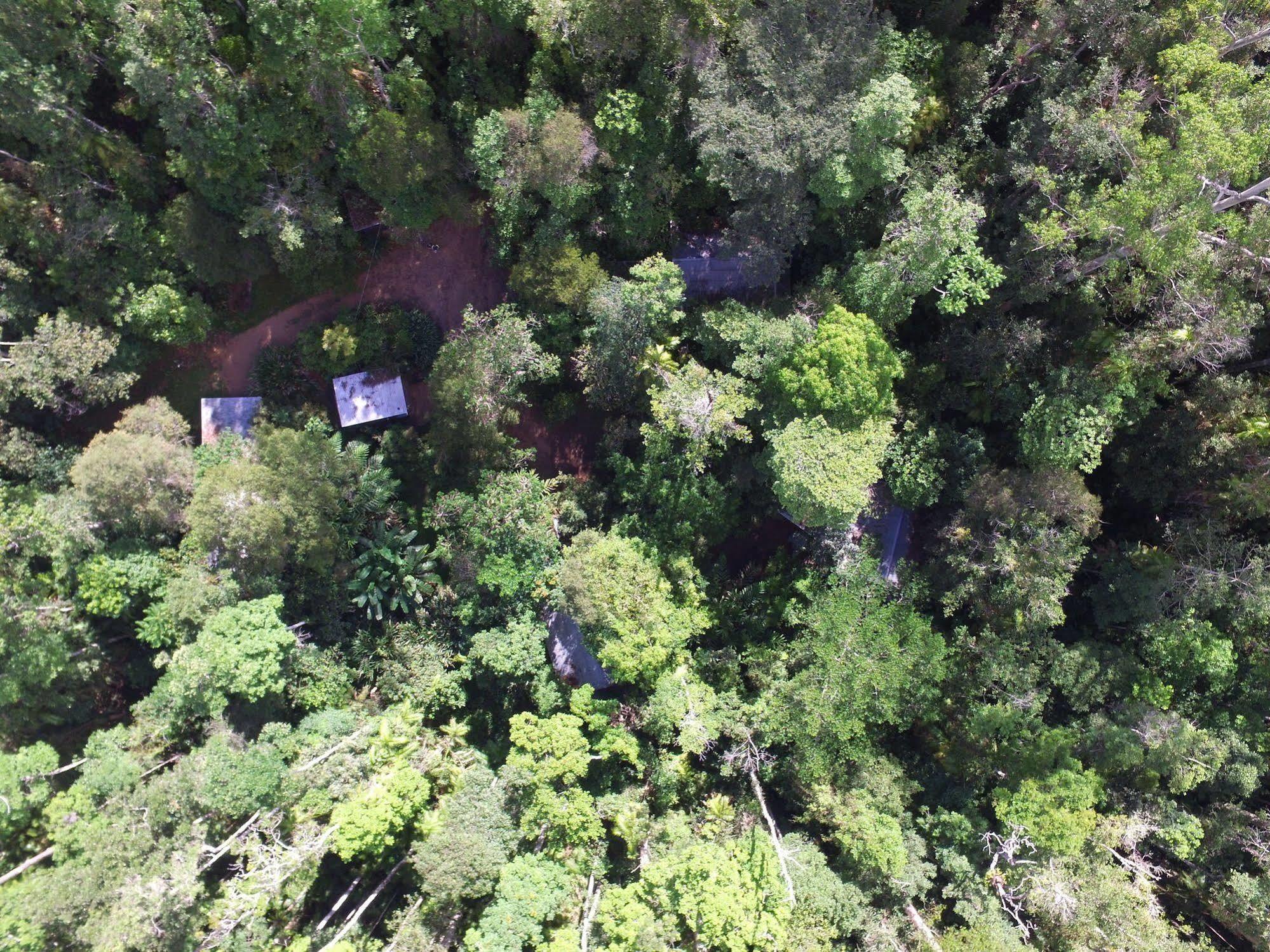 Crater Lakes Rainforest Cottages Yungaburra Dış mekan fotoğraf